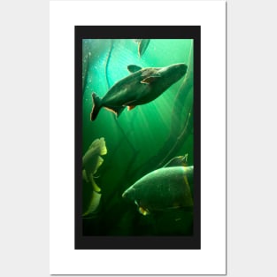 Green fish in the water Posters and Art